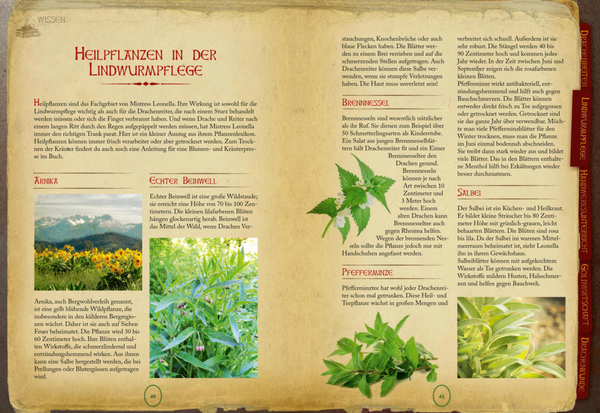 Die Geheime Drachenschule- Das Handbuch für Drachenreiter