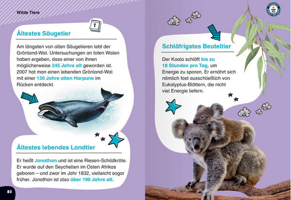 Guinness World Records - die Besten Rekorde Für Erstleser