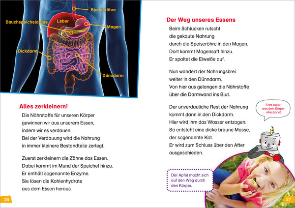 Erstes Lesen BAND 14 - Unser Körper