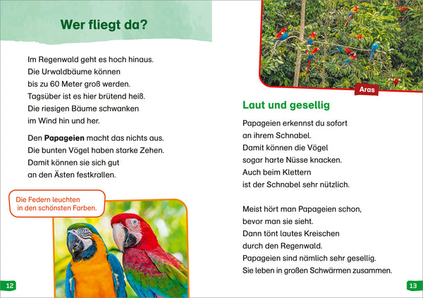 Erstes Lesen easy! BAND 18 - Tiere im Regenwald