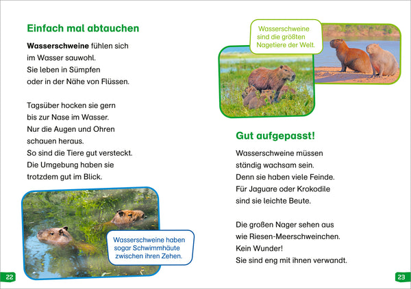 Erstes Lesen easy! BAND 18 - Tiere im Regenwald
