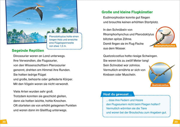 Erstes Lesen BAND 13 - Dinosaurier