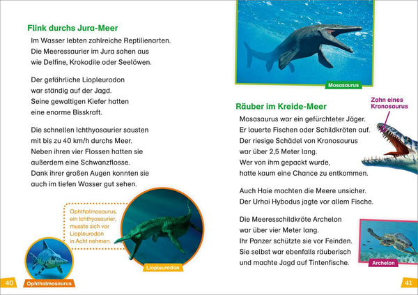 Erstes Lesen BAND 13 - Dinosaurier