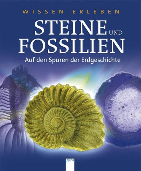 Steine und Fossilien