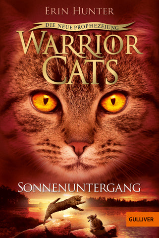 Warrior Cats II - Band 6: Sonnenuntergang
