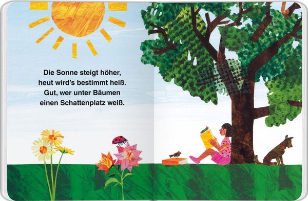 Die kleine Raupe Nimmersatt- Sommer