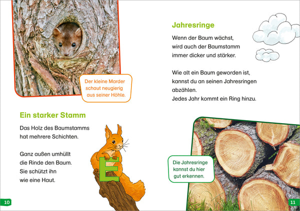 WiW Erstes Lesen easy! BAND 1 Entdecke die Bäume