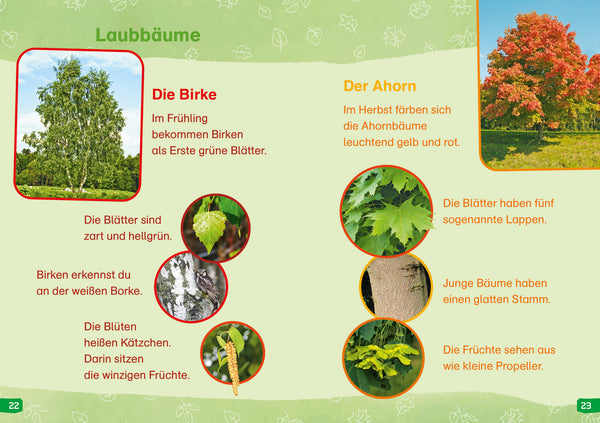 WiW Erstes Lesen easy! BAND 1 Entdecke die Bäume