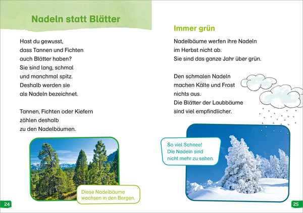 WiW Erstes Lesen easy! BAND 1 Entdecke die Bäume