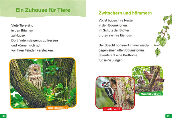 WiW Erstes Lesen easy! BAND 1 Entdecke die Bäume