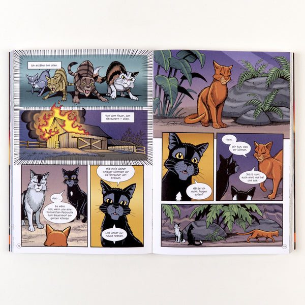 Warrior Cats Graphic Novel - Rabenpfotes Weg