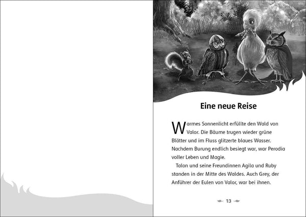 Der Letzte Feuerfalke 7 - und das Wolkenland