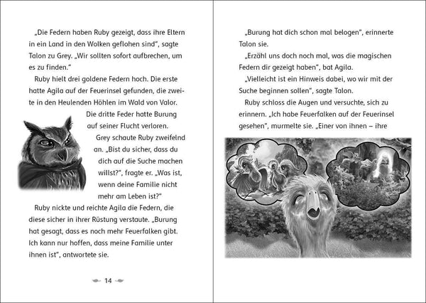 Der Letzte Feuerfalke 7 - und das Wolkenland