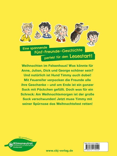 Fünf Freunde Junior - Die verschwundenen Weihnachtspäckchen