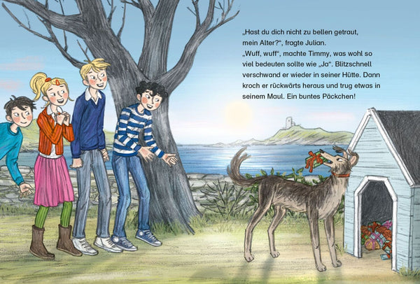 Fünf Freunde Junior - Die verschwundenen Weihnachtspäckchen