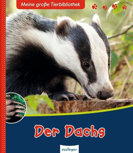 【Dachs！Dachs！Dachs！】原画 Dachs_grande.jpg?v=1629249327