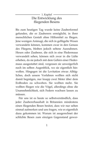 Harry Potter - Quidditch im Wandel der Zeiten