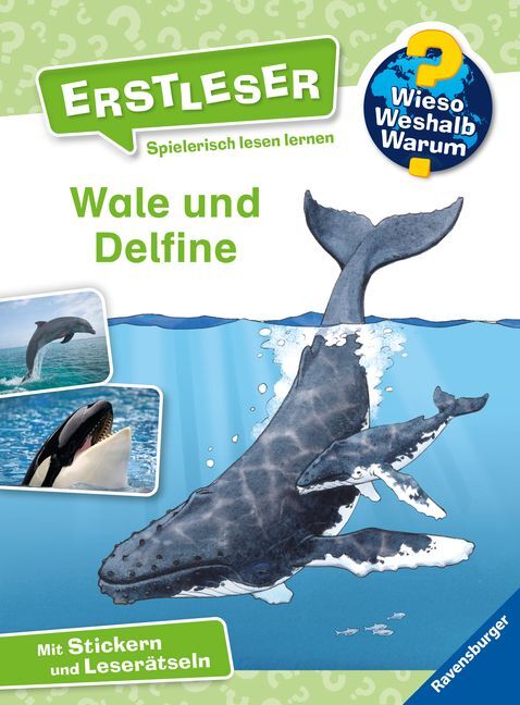 Erstleser Wale und Delfine